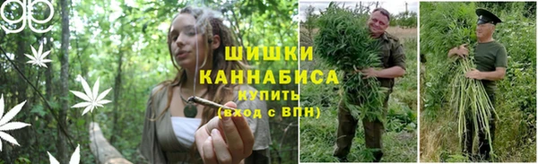 стафф Кодинск