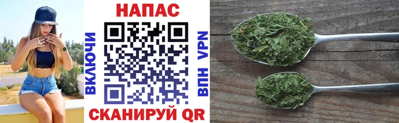 Канабис план  купить наркотик  Малгобек 
